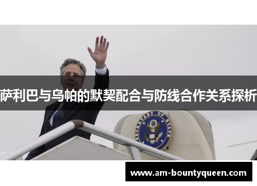 萨利巴与乌帕的默契配合与防线合作关系探析