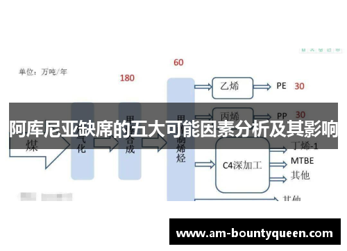 阿库尼亚缺席的五大可能因素分析及其影响 阿库尼亚缺席的五大可能因素分析及其影响