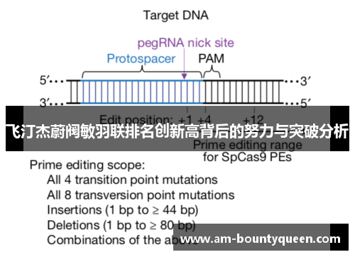 飞汀杰蔚阀敏羽联排名创新高背后的努力与突破分析 飞汀杰蔚阀敏羽联排名创新高背后的努力与突破分析