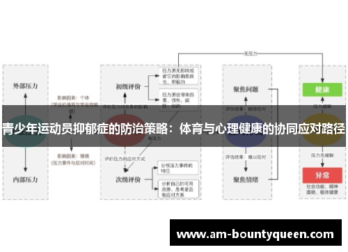 青少年运动员抑郁症的防治策略：体育与心理健康的协同应对路径